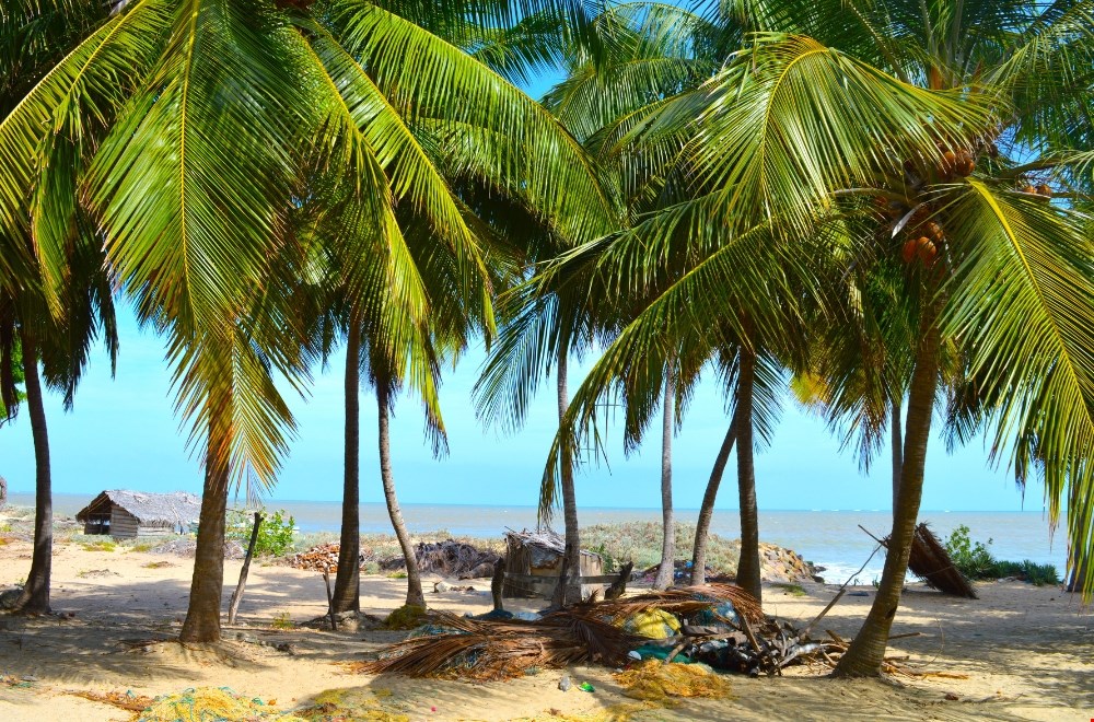 Sri Lanka — één reis, duizend ervaringen